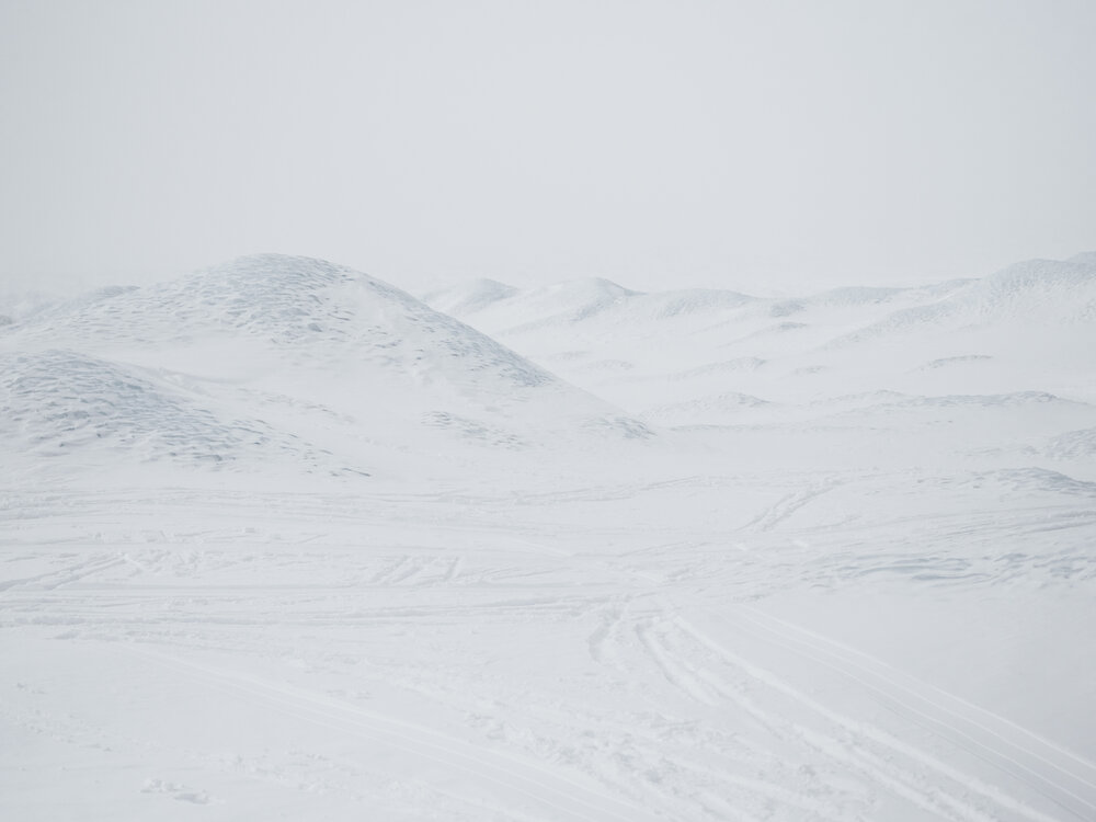 Greenland landscape showing undulating terrain and ski tracks