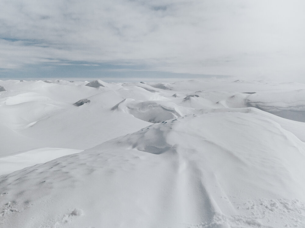 Greenland landscape showing undulating terrain