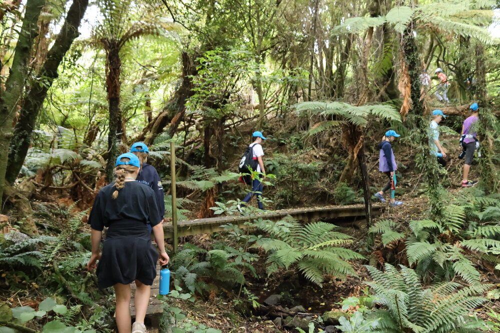Young Inspiring Explorers on bush walk in Akaroa (028)