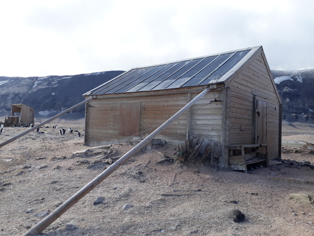 Borchgrevink's Hut at Cape Adare during the 2019-20 season (001)