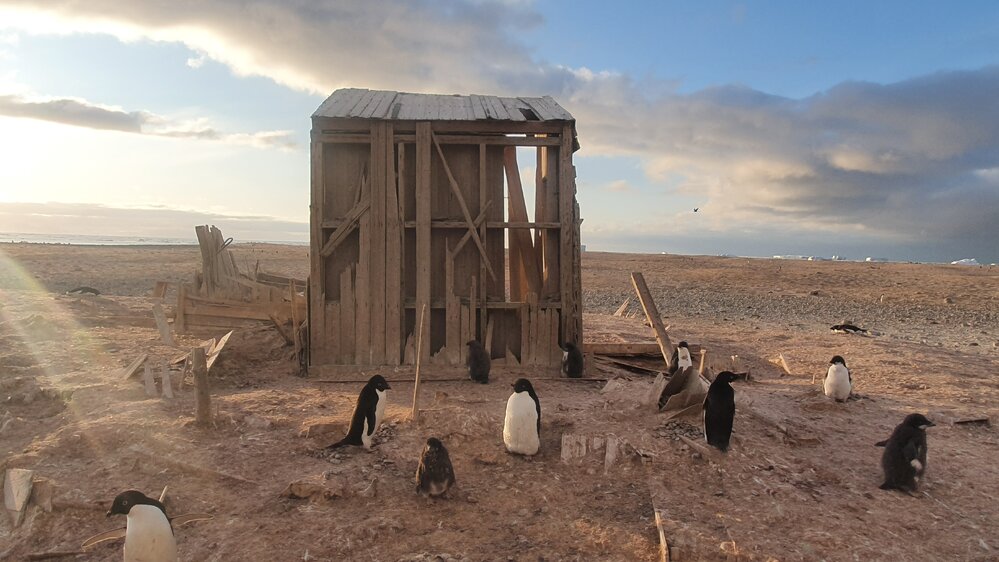 2019-20 Cold Porch of the Northern Party hut (002)