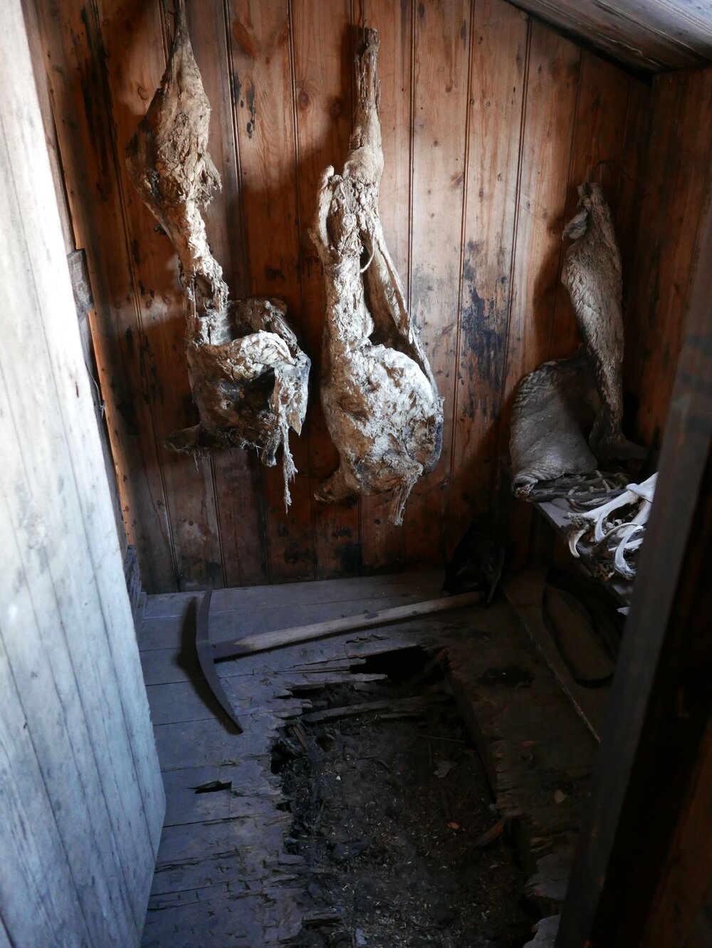 2020-21 Scott's 'Discovery' hut Inspection, interior (035)