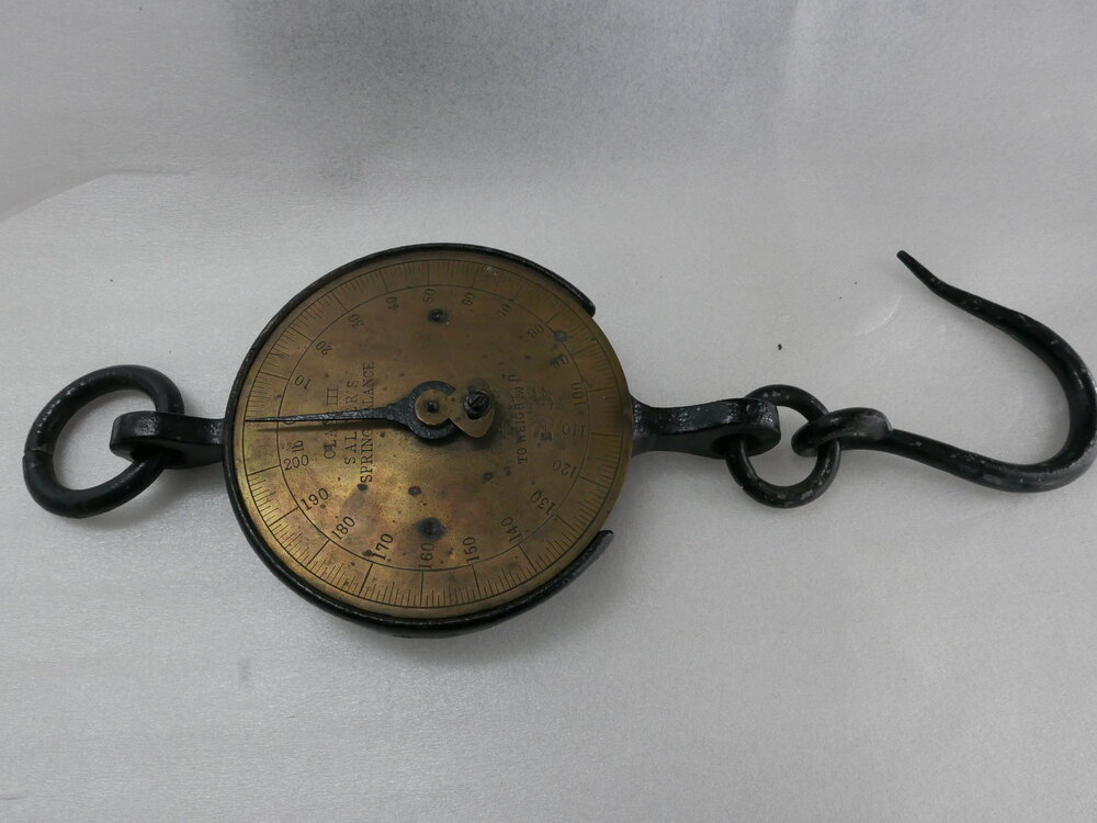 Salter Scales (009)