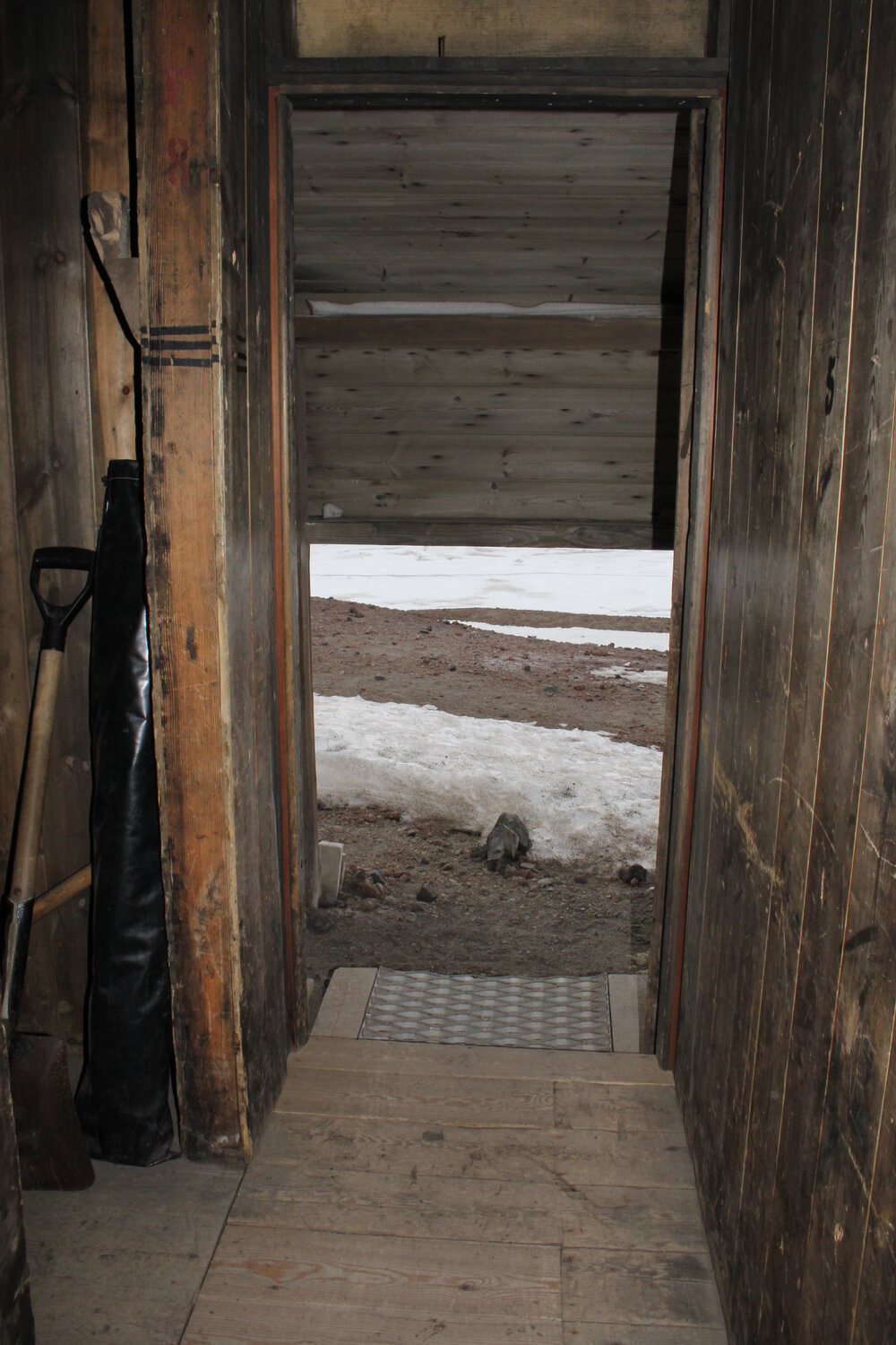 2019-20 Scott's 'Discovery' hut inspection, interior (016)