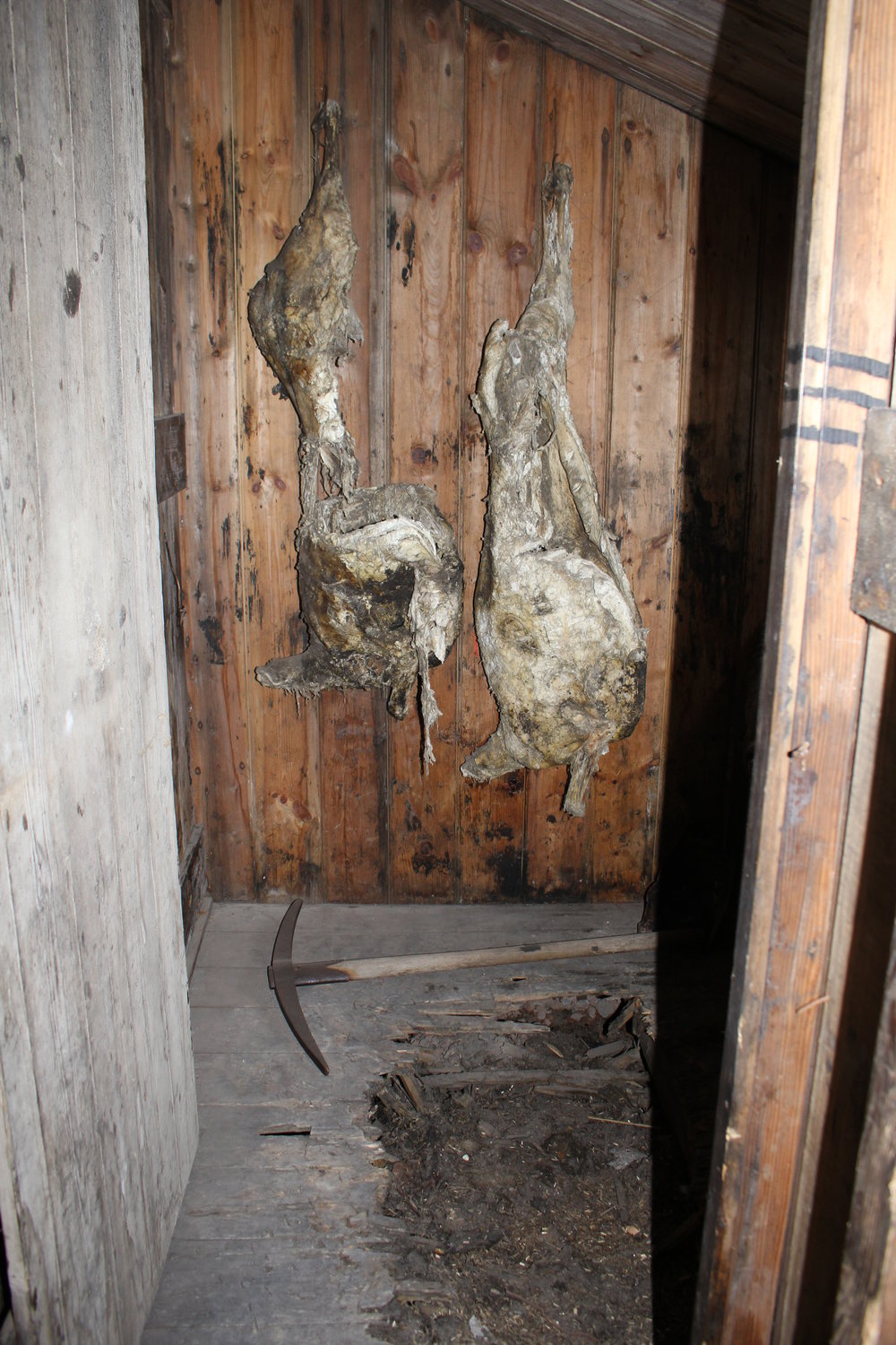 2019-20 Scott's 'Discovery' hut inspection, interior (017)