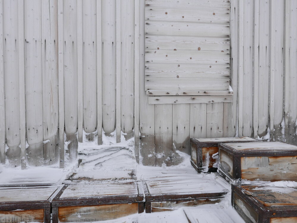 2020-21 Venesta Cases at 'Nimrod' hut, Cape Royds (004)