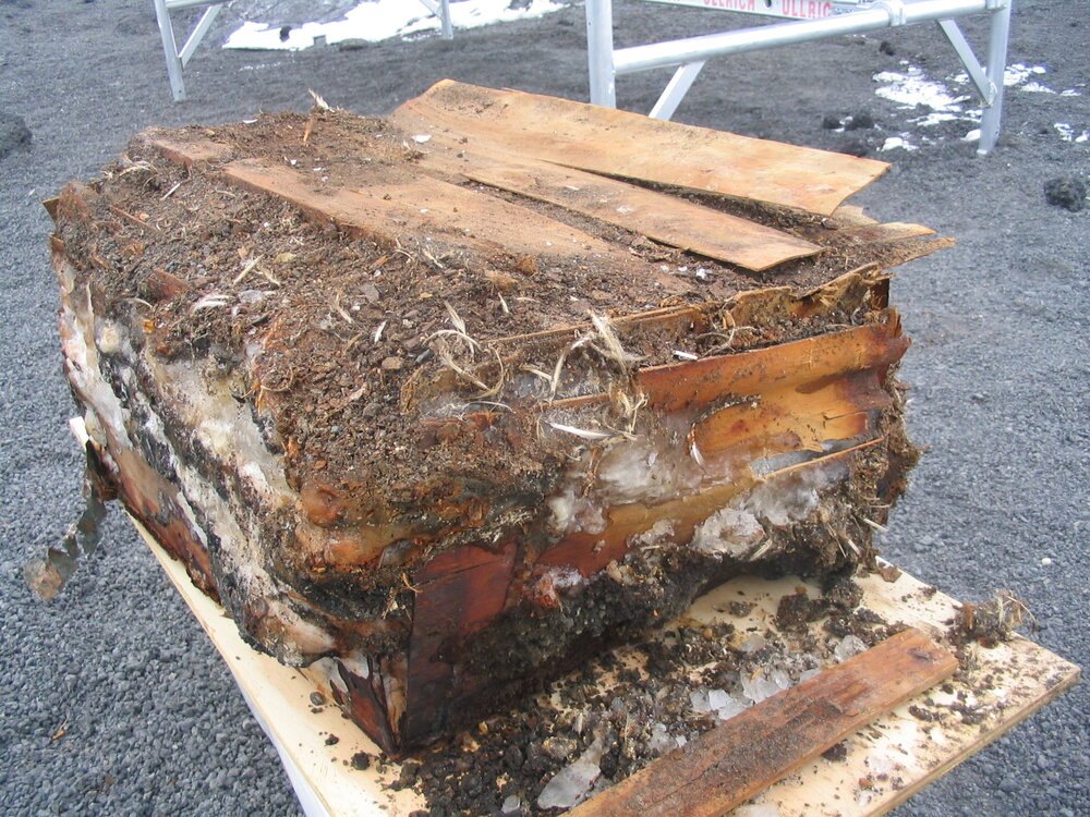 2006 Excavated Venesta box on lifting board, Cape Royds