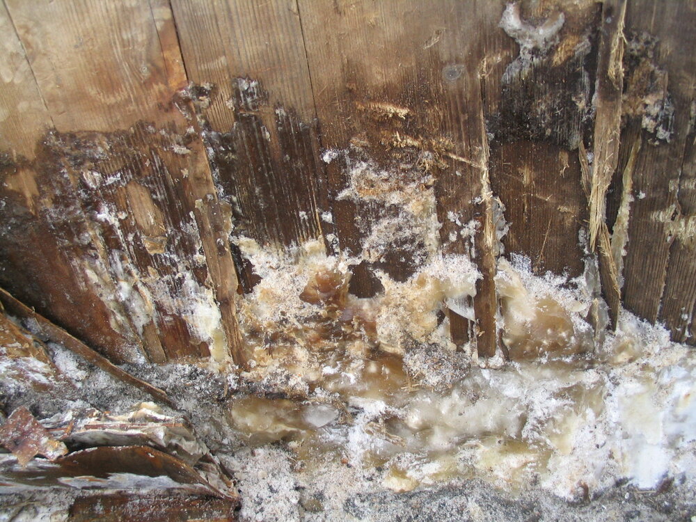 2006 Venesta box ice damage, Shackleton's 'Nimrod' hut, Cape Royds (004)