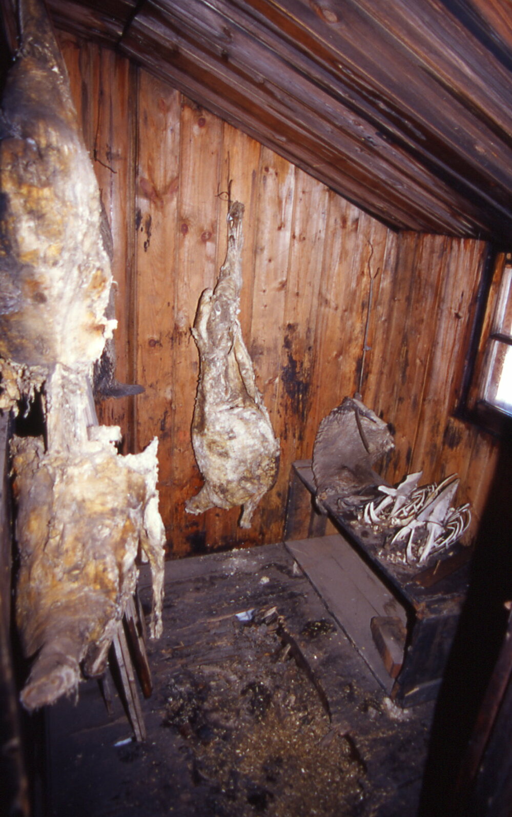 2005 Scott's 'Discovery' hut interior, Hut Point (002)