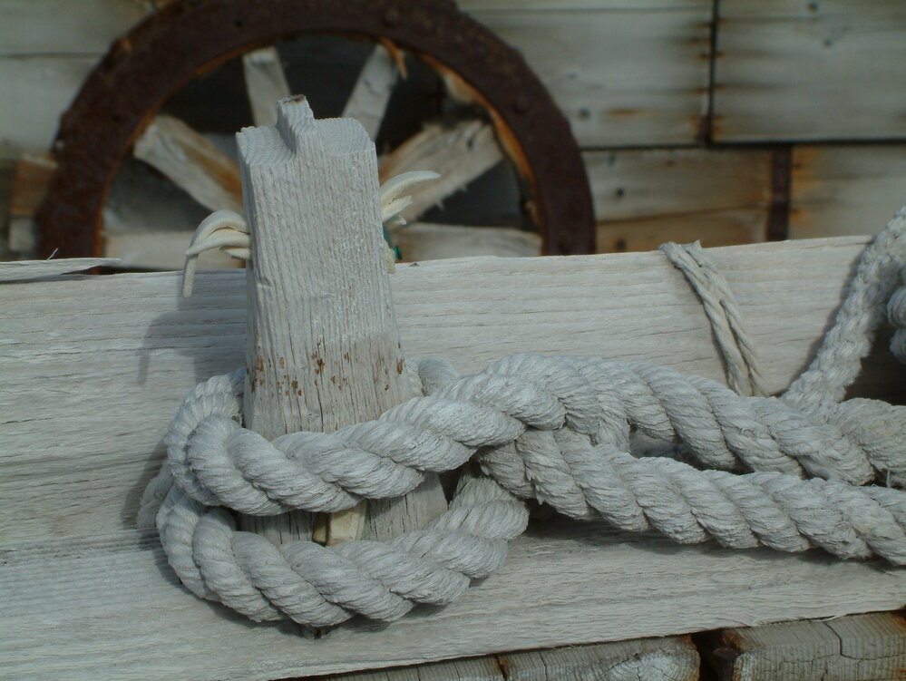 2005 Shackleton's 'Nimrod' hut exterior, Cape Royds (011)