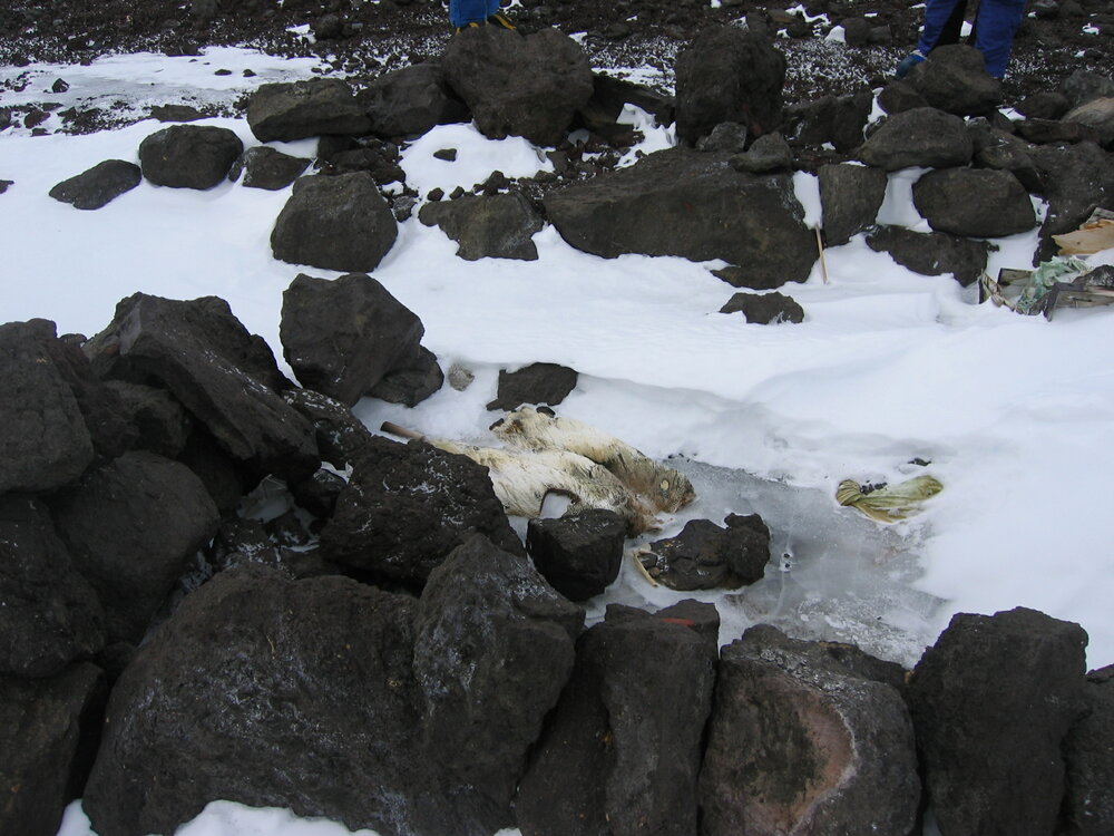 2005 Remains of Wilson's Igloo, Cape Crozier (002)