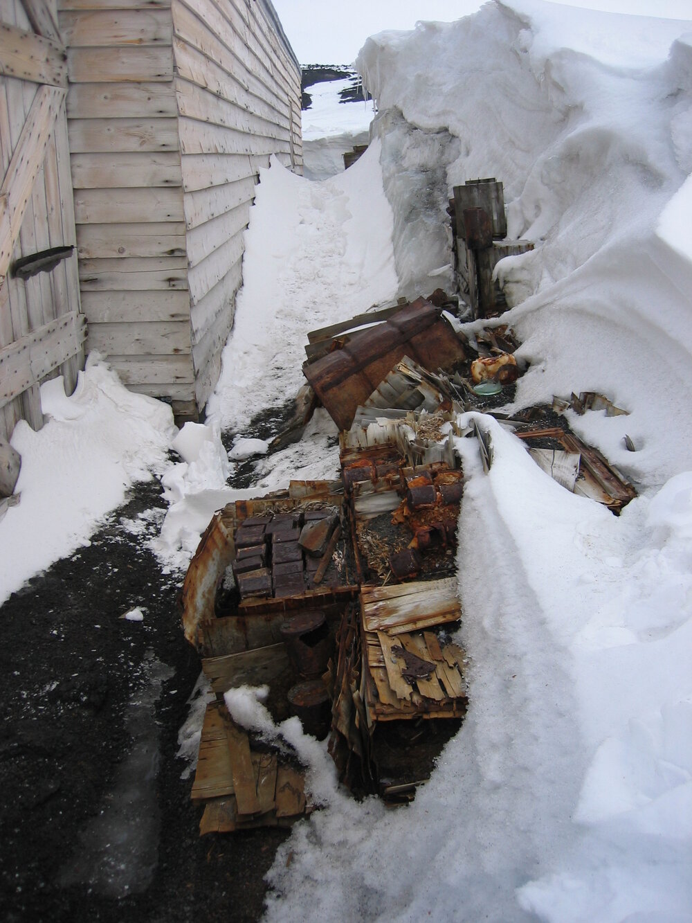2005 South wall of 'Terra Nova' hut prior to excavation (002)