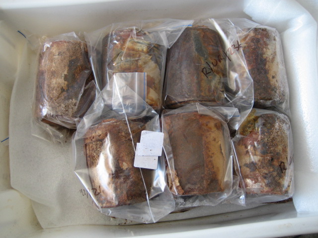 2006 Artefact in temporary storage in the AHT container at Scott Base (002)
