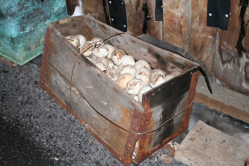 2006 Penguin eggs inside Scott's 'Terra Nova' hut, Cape Evans