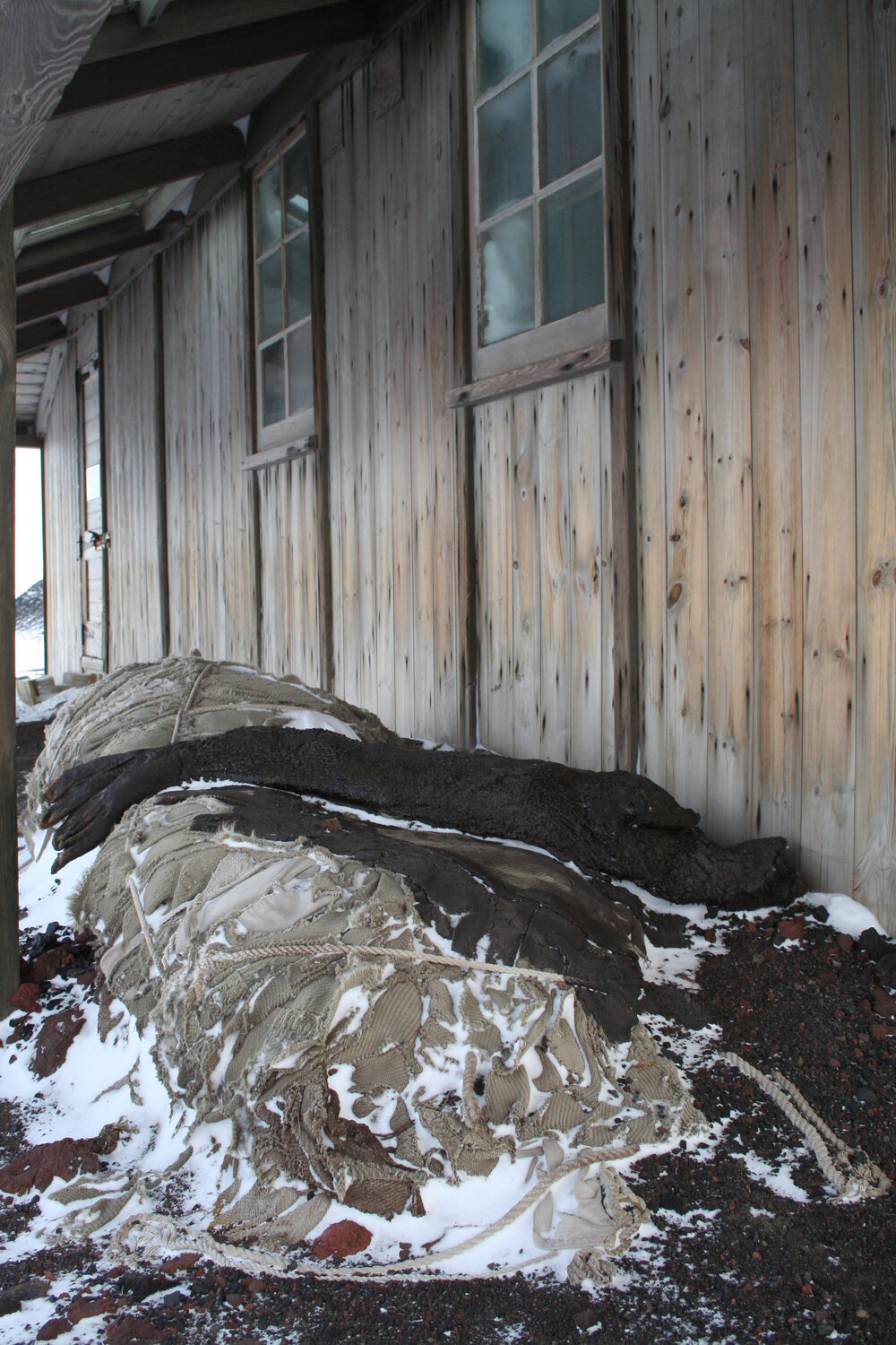 2006 Seal carcass and awning outside Scott's 'Discovery' hut, Hut Point