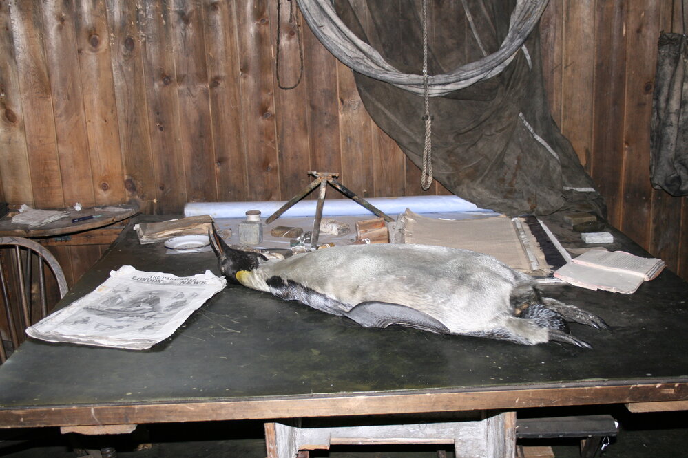 2007 Artefacts inside Scott's Cubicle in Scott's 'Terra Nova' hut, Cape Evans 