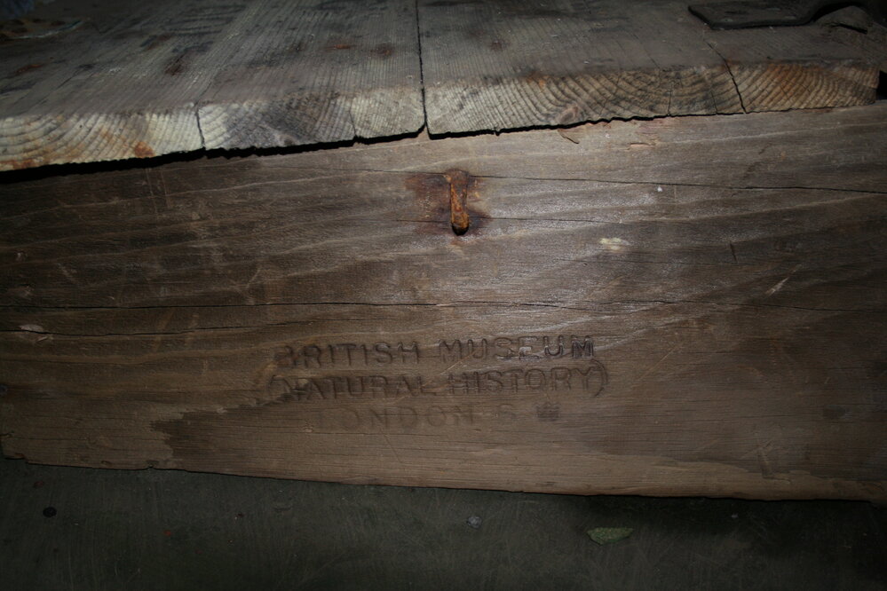 2007 British Museum stamp inside Scott's 'Terra Nova' hut, Cape Evans