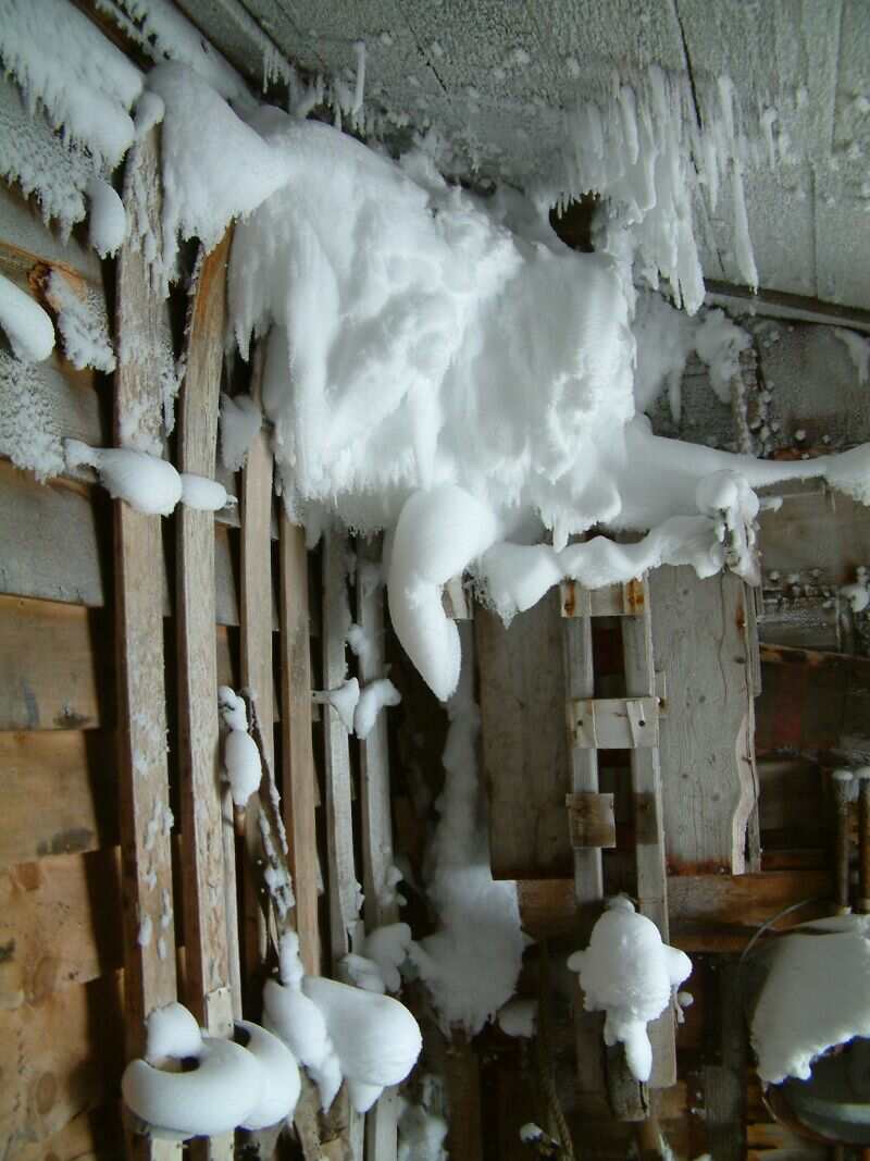 2003 Scott's 'Terra Nova' hut - Annexe snow ingress (003)