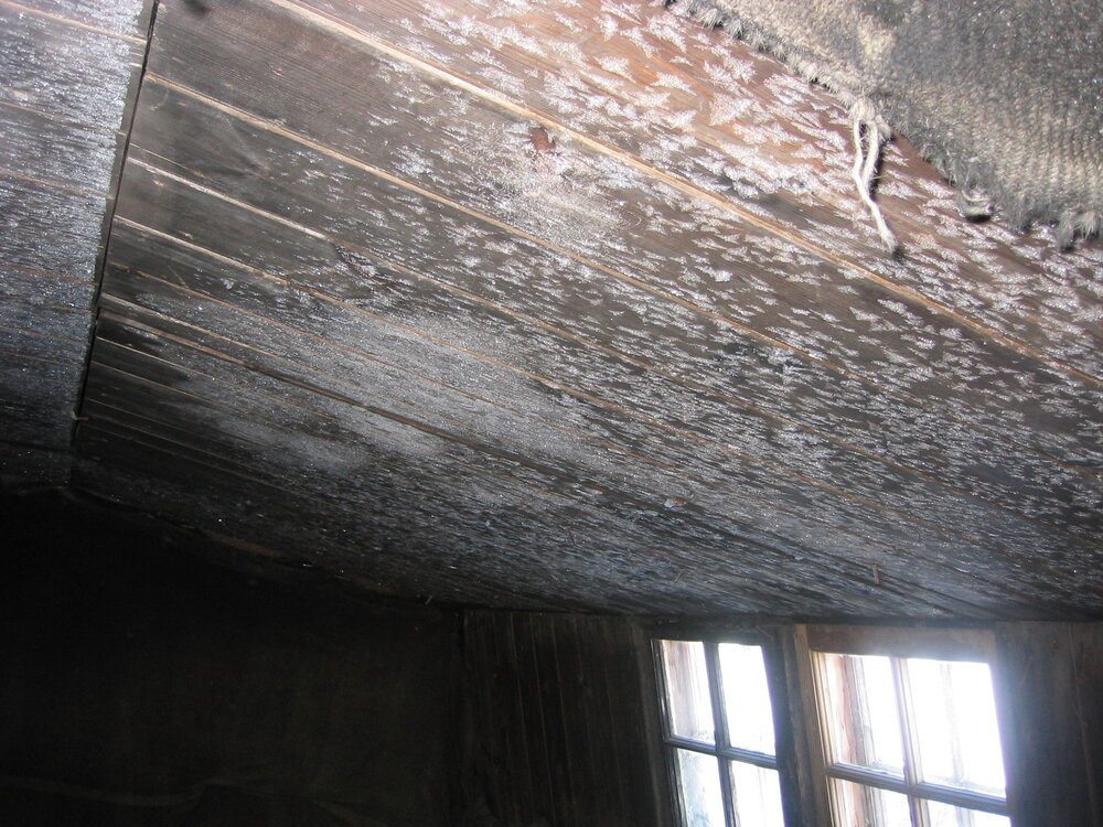 2003 Scott's 'Discovery' hut, interior - Hoar frosting on roof interior (004)