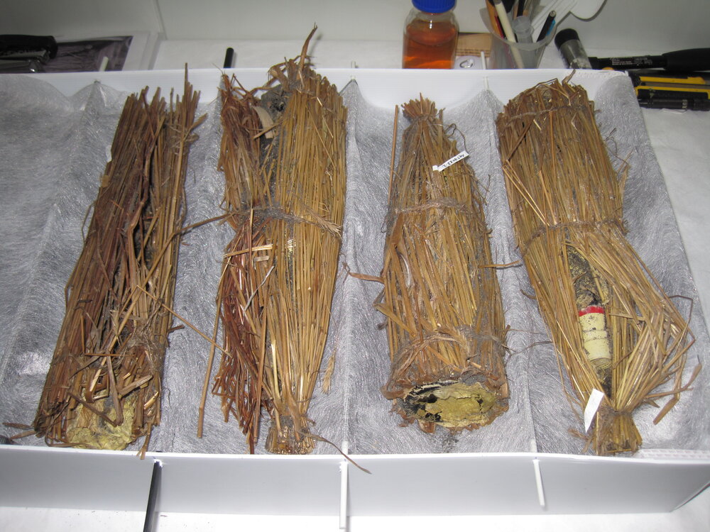 2010 Shackleton's Whisky thawing at Canterbury Museum