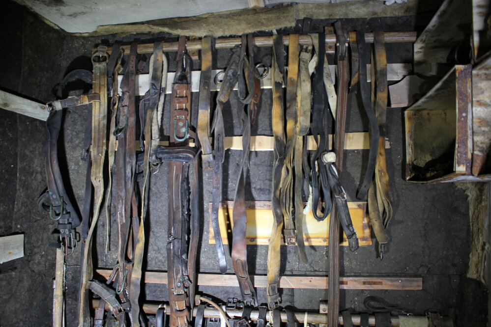 2019-20 Artefacts requiring treatment - Leather harnesses, Mawson's laboratory, Shackleton's 'Nimrod' Hut (001)