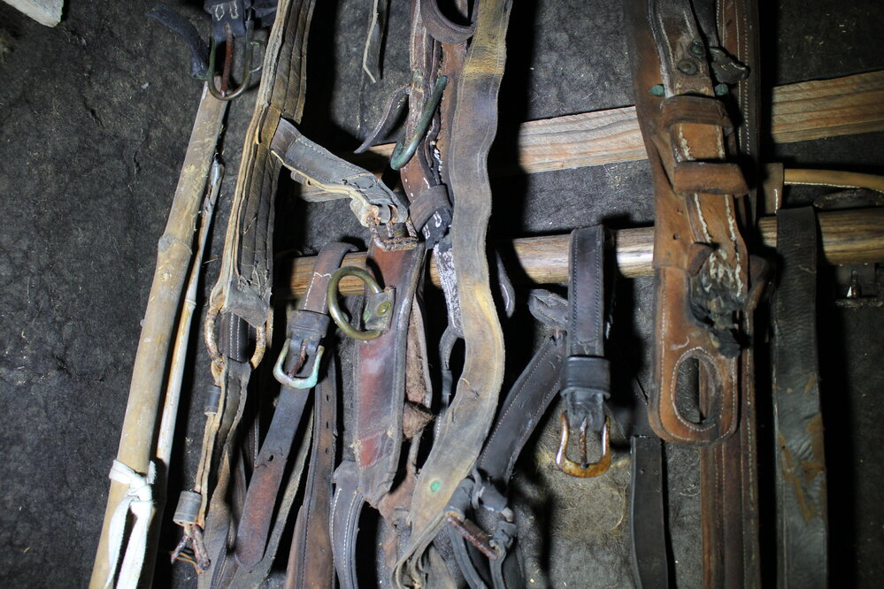 2019-20 Artefacts requiring treatment - Leather harnesses, Mawson's laboratory, Shackleton's 'Nimrod' Hut (003)