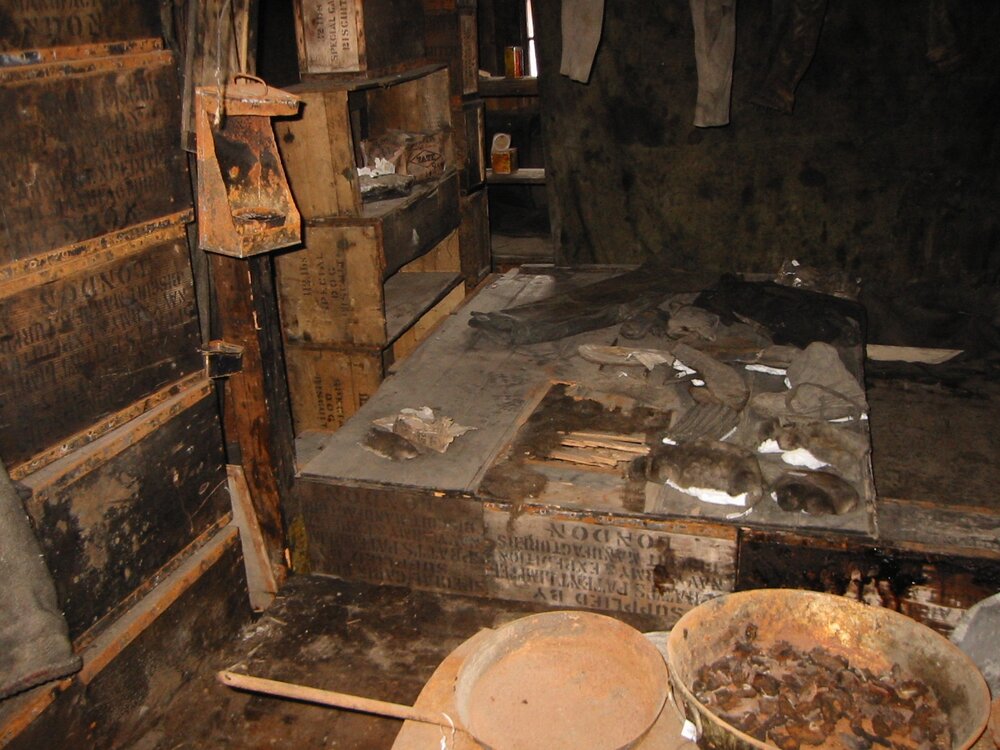 2002 Scott's 'Discovery' hut building survey, interior (142)
