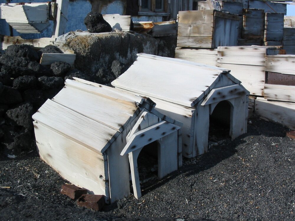 2003 K440 at Shackleton's 'Nimrod' hut, exterior - Dog kennels