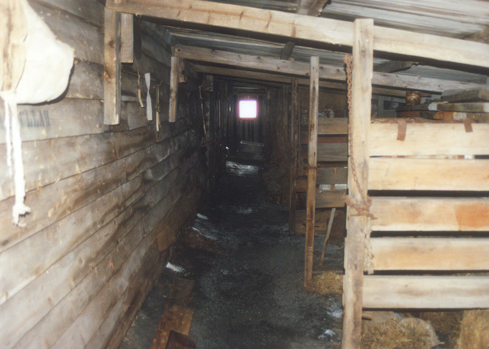 2002 K440B at Scott's 'Terra Nova' hut, interior - Stables, looking West
