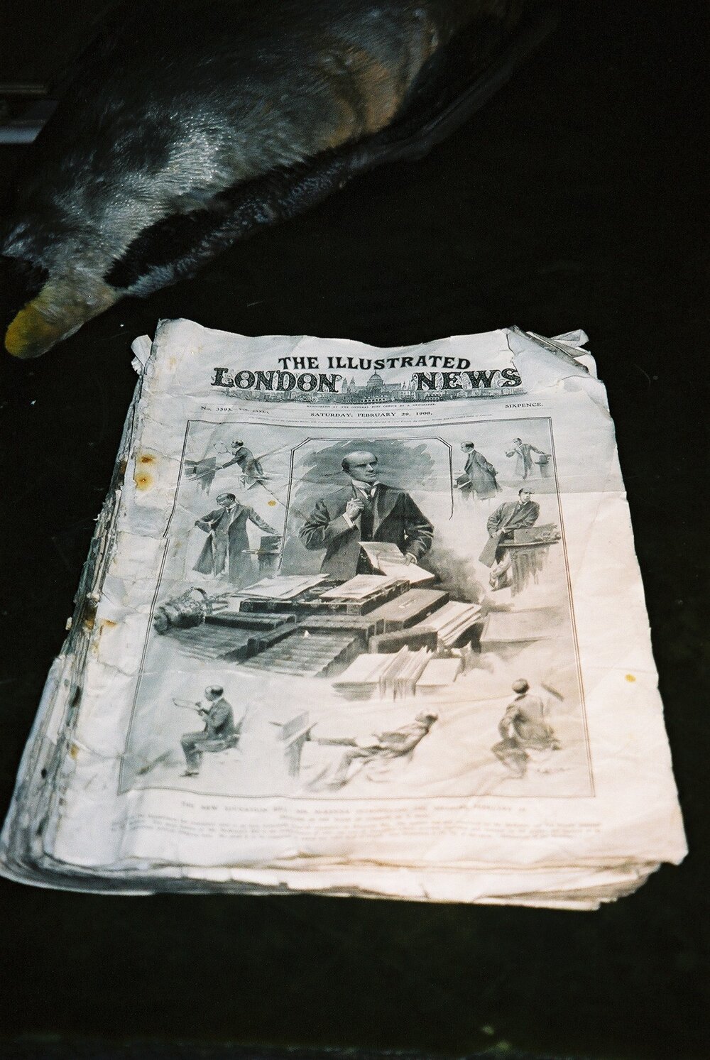 2002 Scott's 'Terra Nova' hut, interior - The Illustrated London News