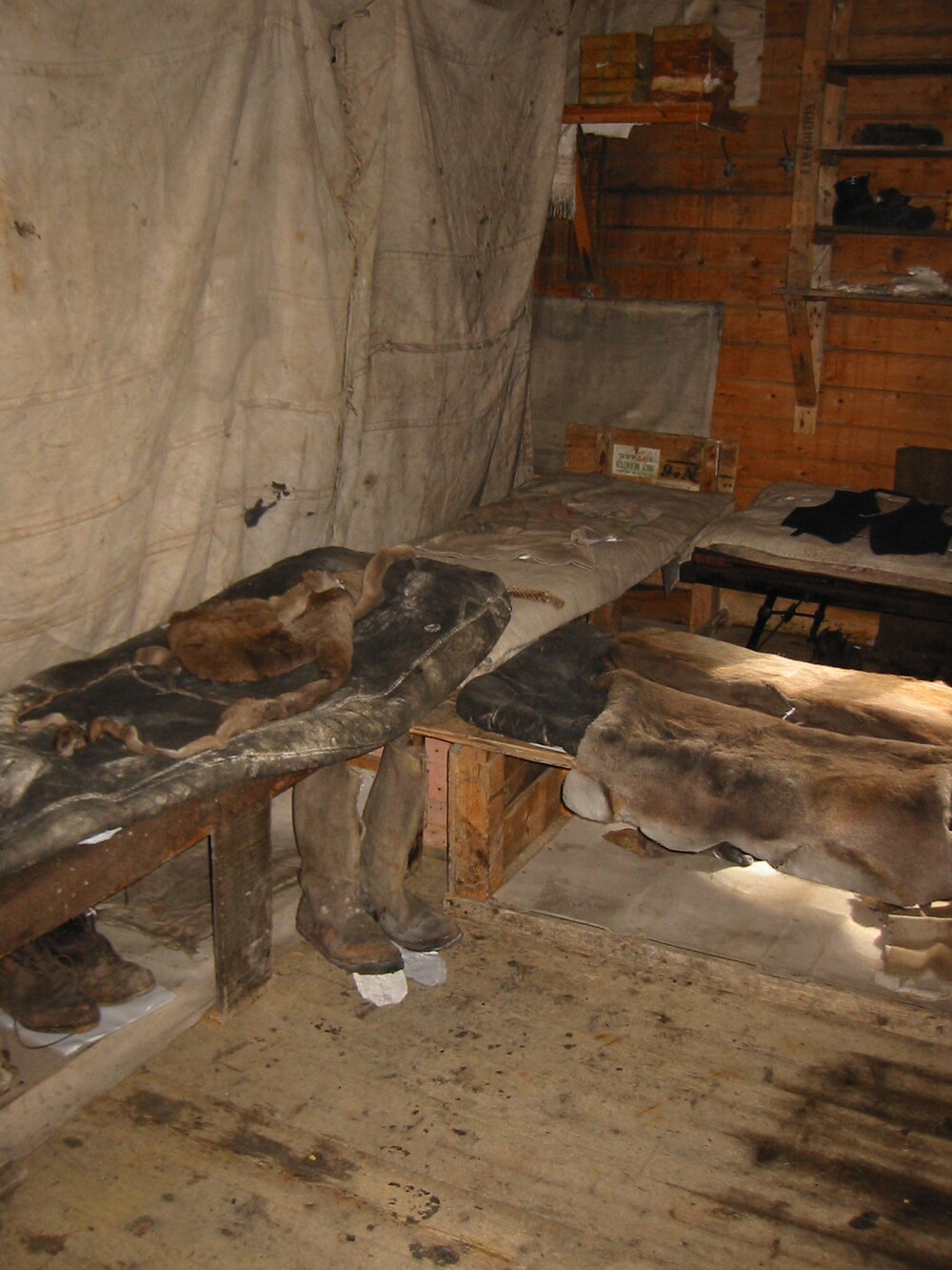 2002 K440B to Shackleton's 'Nimrod' hut, interior - Main room bunks (002)