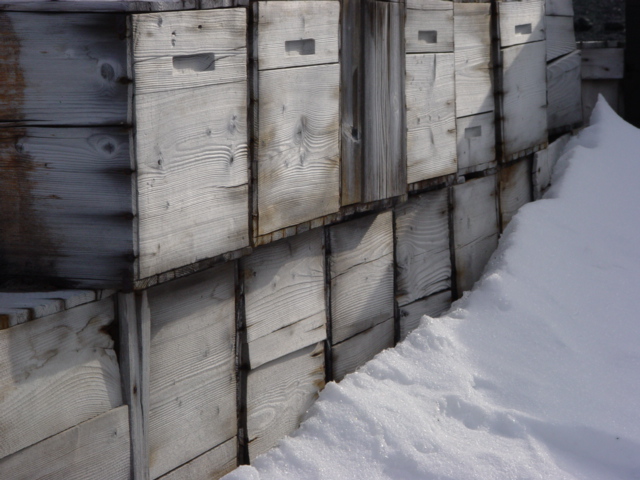 2004-05 Shackleton's 'Nimrod' hut exterior (022)