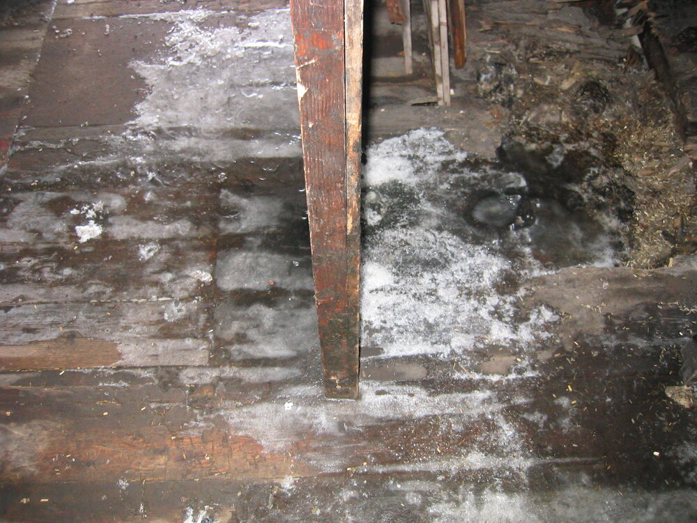 2004-05 Scott's 'Discovery' hut, interior (005)