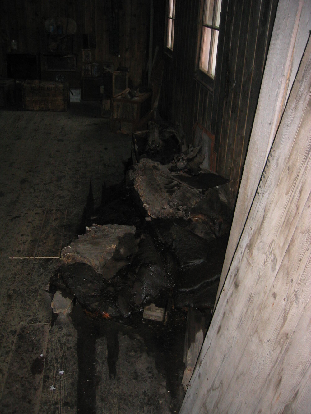 2004-05 Scott's 'Discovery' hut, interior (032)