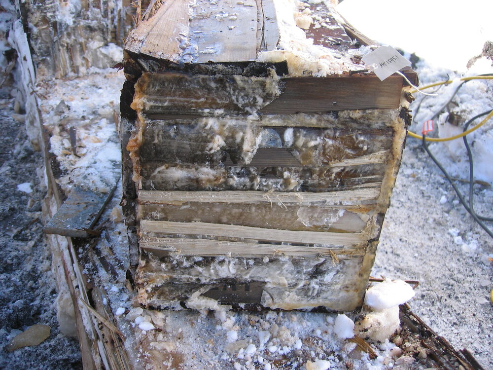 Excavated Colman's box from Bowers' Annexe (001)