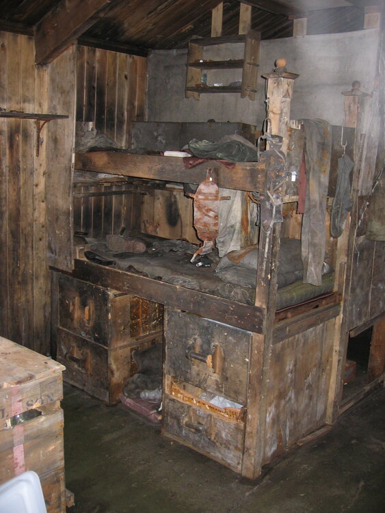 2007 K170, Scott's 'Terra Nova' Hut - Nelson and Day's bunkbeds