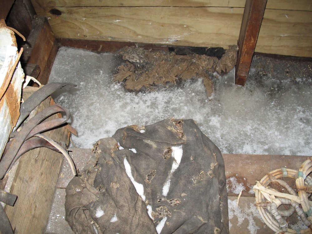 2007-08 Canvas excavated from stables of Scott's 'Terra Nova' Hut