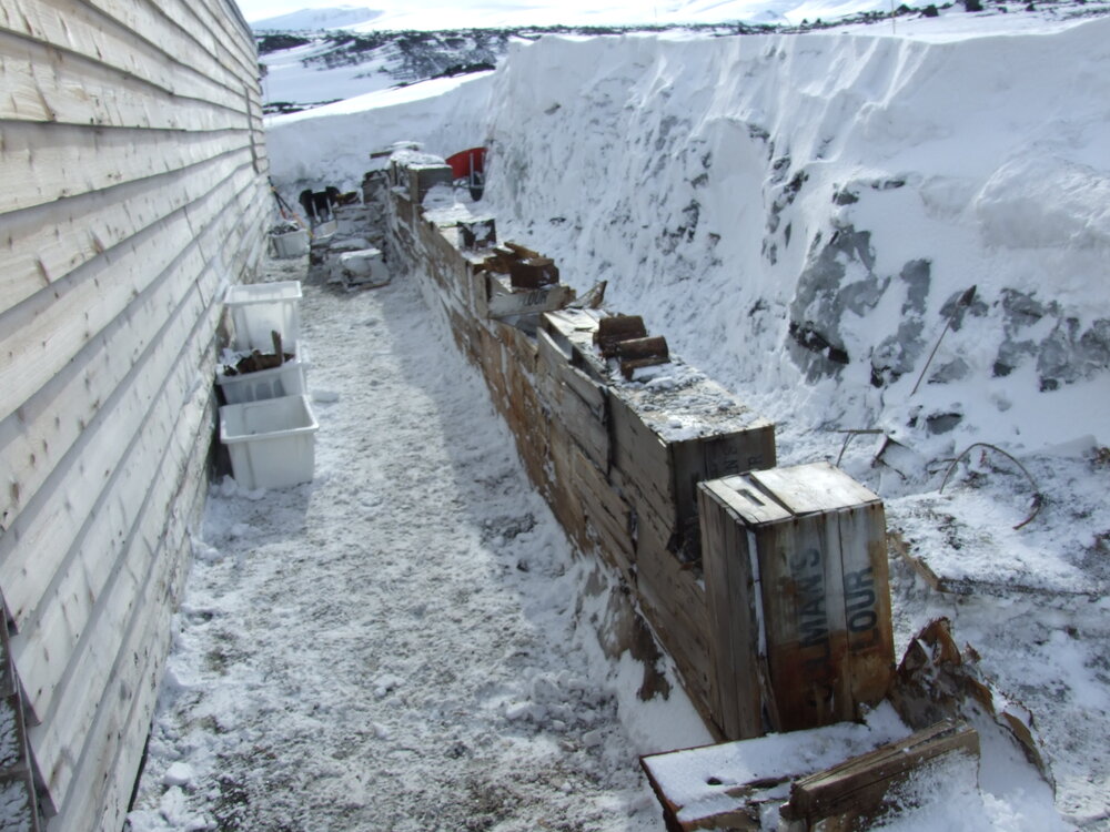 Tiers of Colman's boxes, Bowers' Annexe 