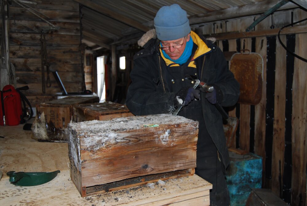 Ted Bugg removing ice from excavated Colman's box