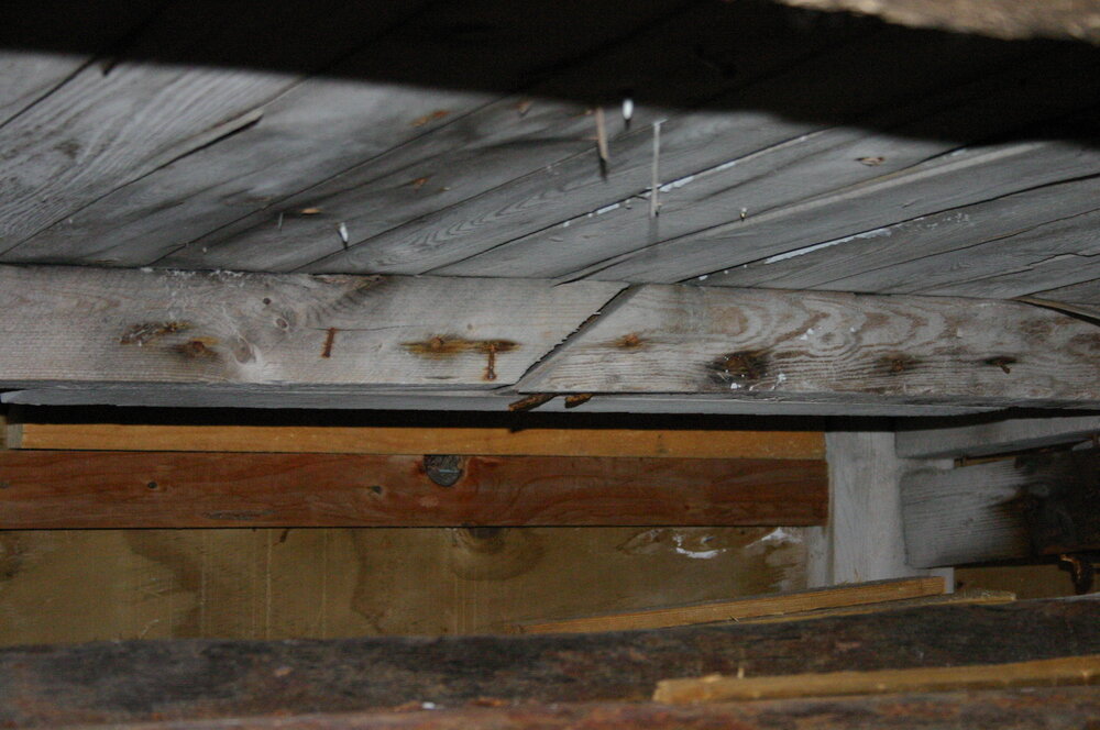 2004-05 Scott's 'Terra Nova' hut, Cape Evans, internal timber supports (030)
