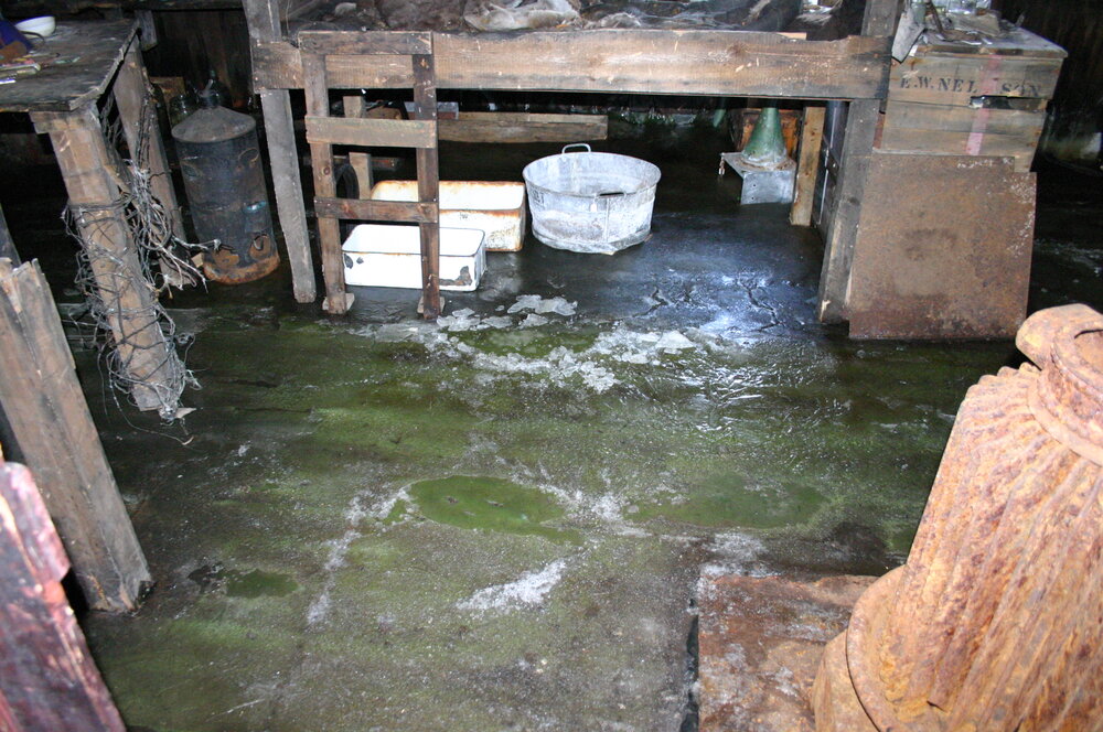 2004-05 Scott's 'Terra Nova' hut, Cape Evans, Interior (06)