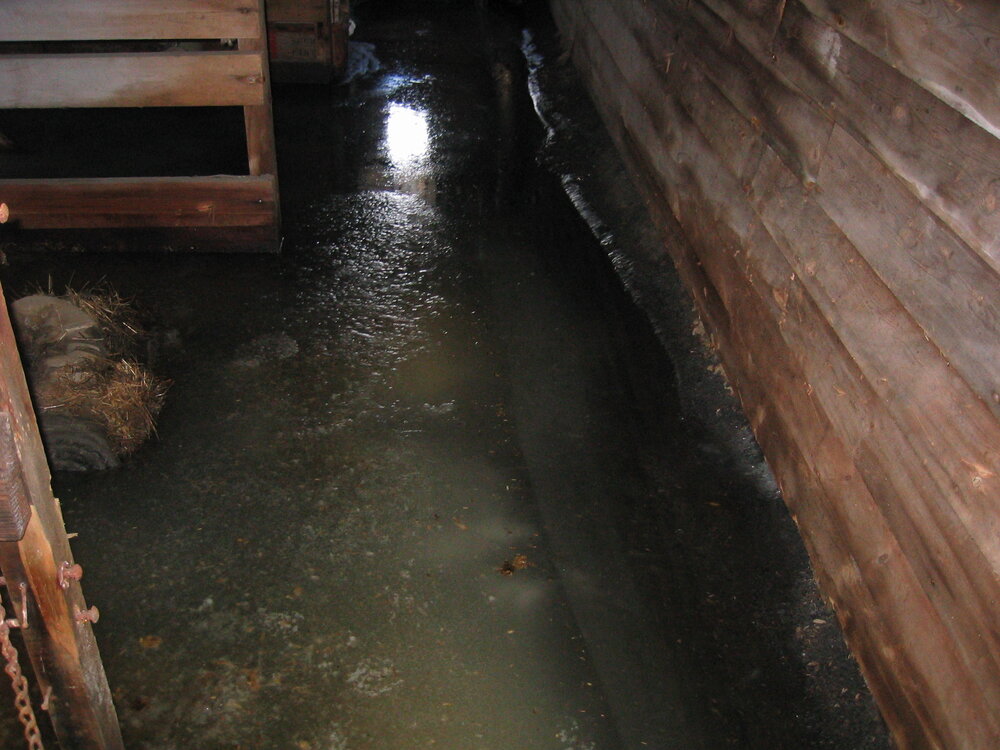 2004-05 Scott's 'Terra Nova' hut, work task, inspection (26)