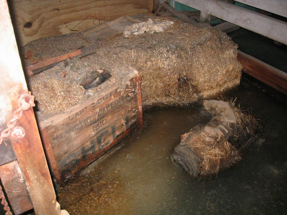 2004-05 Scott's 'Terra Nova' hut, work task, inspection (27)