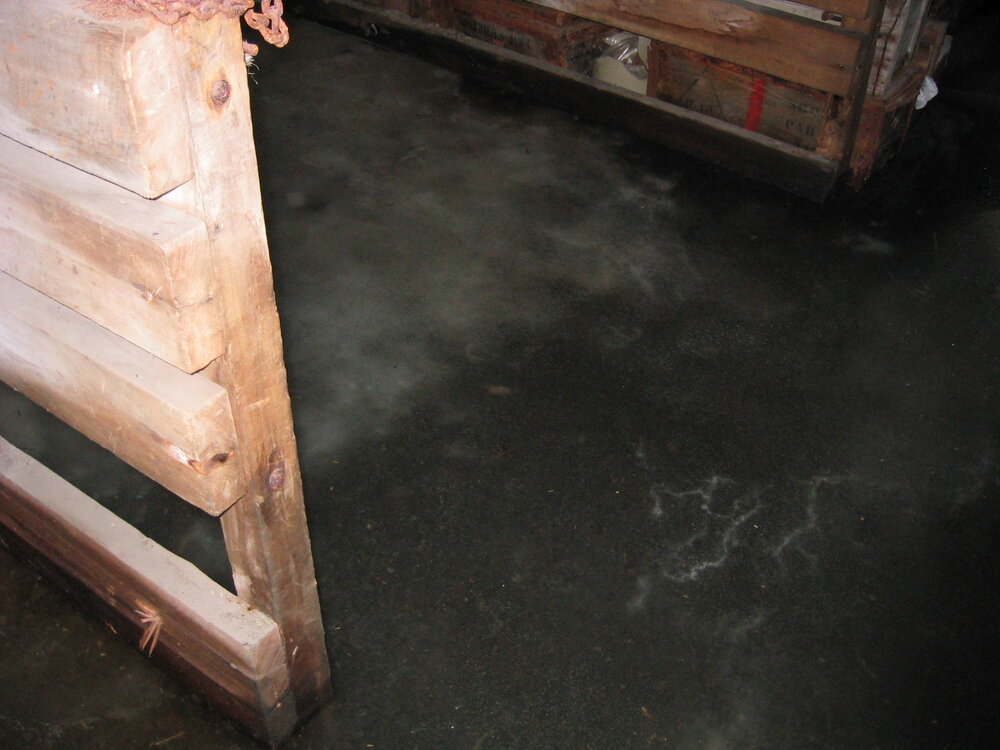 2004-05 Scott's 'Terra Nova' hut, work task, inspection (29)