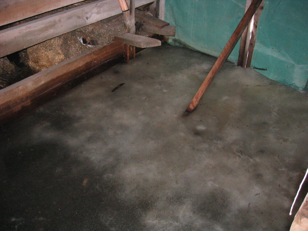 2004-05 Scott's 'Terra Nova' hut, work task, inspection (30)