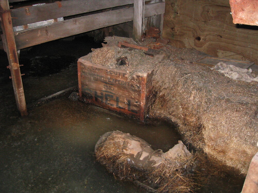 2004-05 Scott's 'Terra Nova' hut, work task, inspection (40)