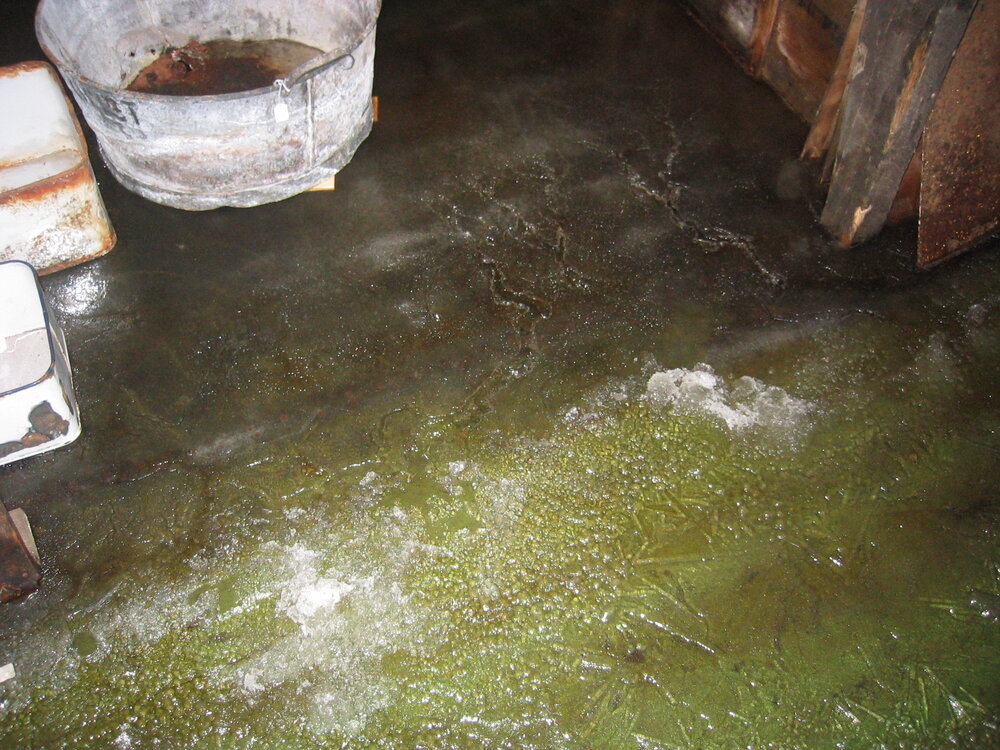 2004-05 Scott's 'Terra Nova' hut, work task, inspection (87)