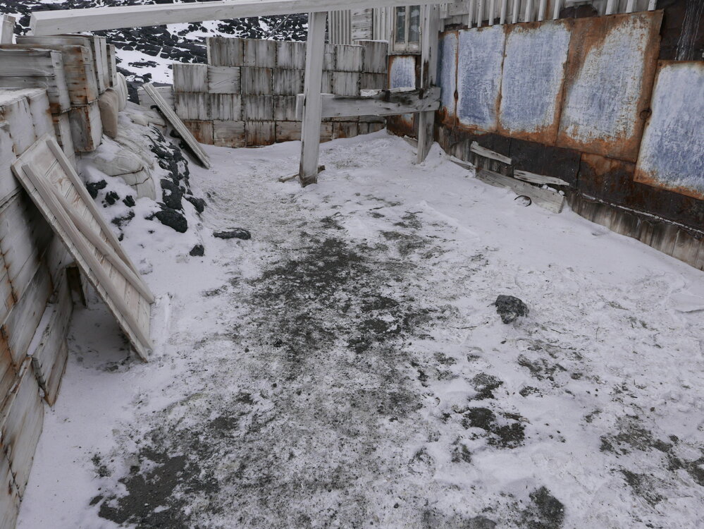2020-21 Shackleton's 'Nimrod' Hut, hut exterior (015)
