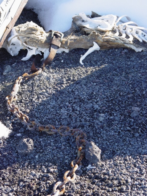 2004-05 Scott's 'Terra Nova' hut conservation (022)