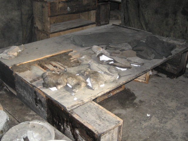 2006 Clothing artefacts on a sleeping platform inside Scott's 'Discovery' hut, Hut Point